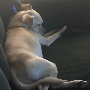 Meet your Posher, Glory